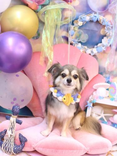 20240825あもちゃん